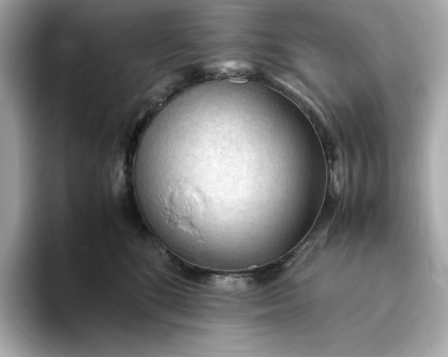 X0000093430520200710261022