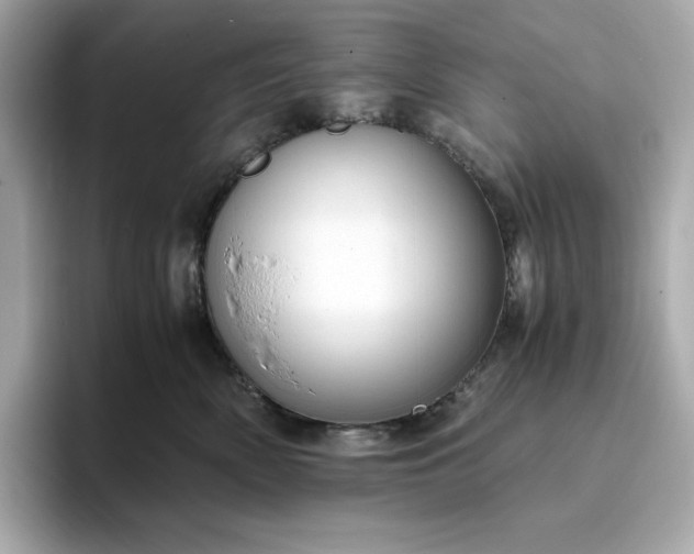 X0000093430522200710261022