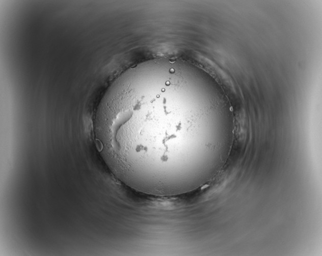 X0000093430523200710261022