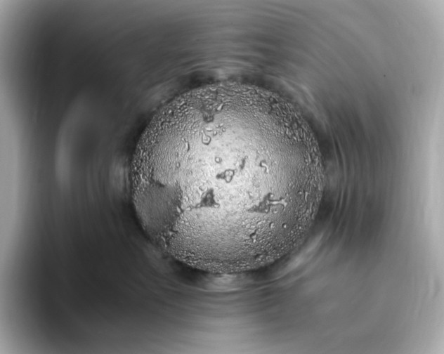 X0000093430527200710261022