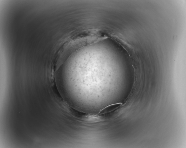 X0000093430528200710261022