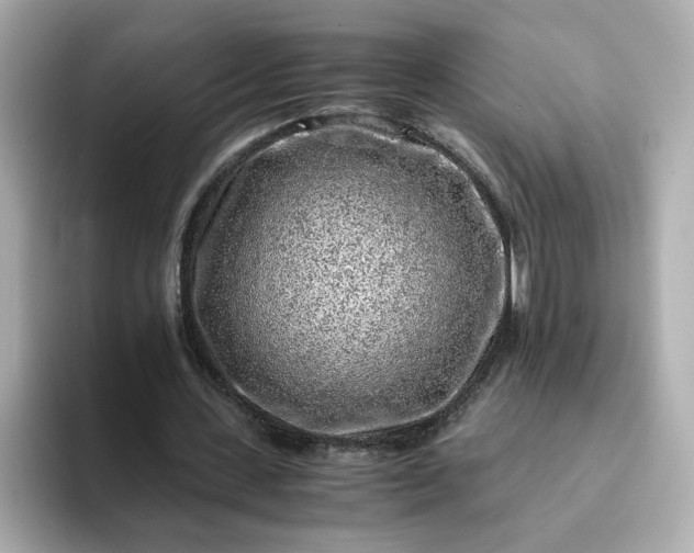 X0000093430531200710261021