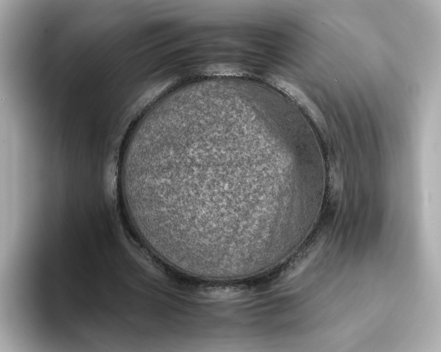 X0000093430533200710261021