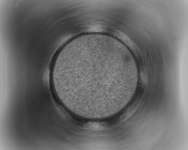 X0000093430534200710261021