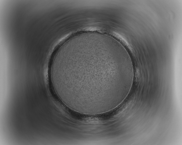 X0000093430535200710261021