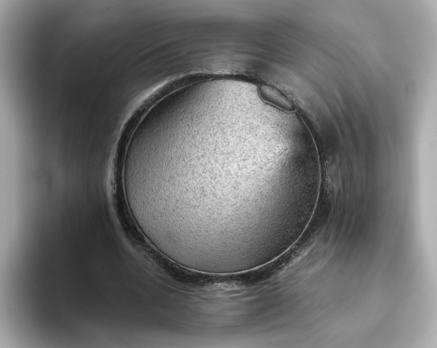 X0000093430536200710261021