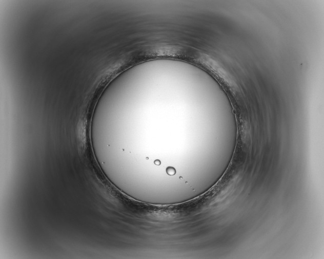 X0000093430537200710261021