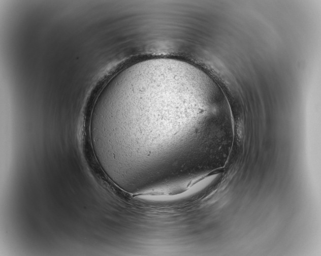 X0000093430540200710261021