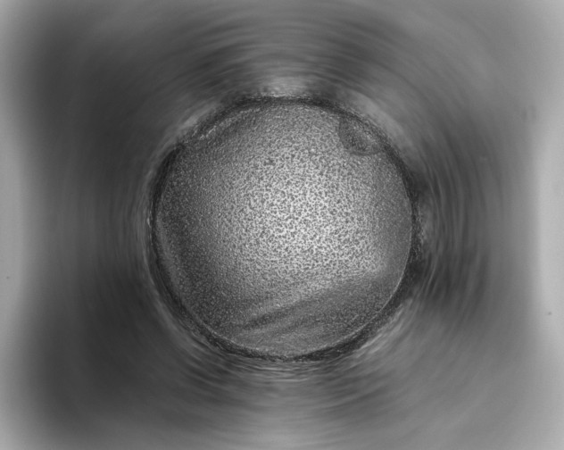 X0000093430542200710261021