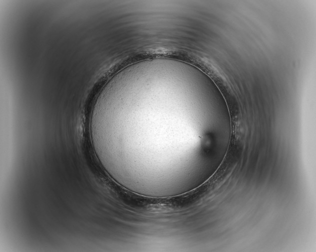 X0000093430544200710261021