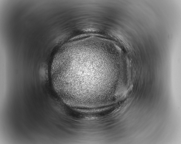 X0000093430547200710261021