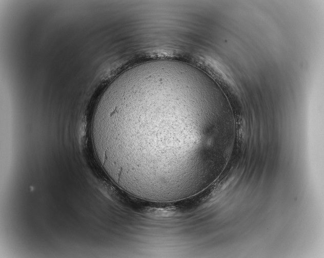 X0000093430548200710261021