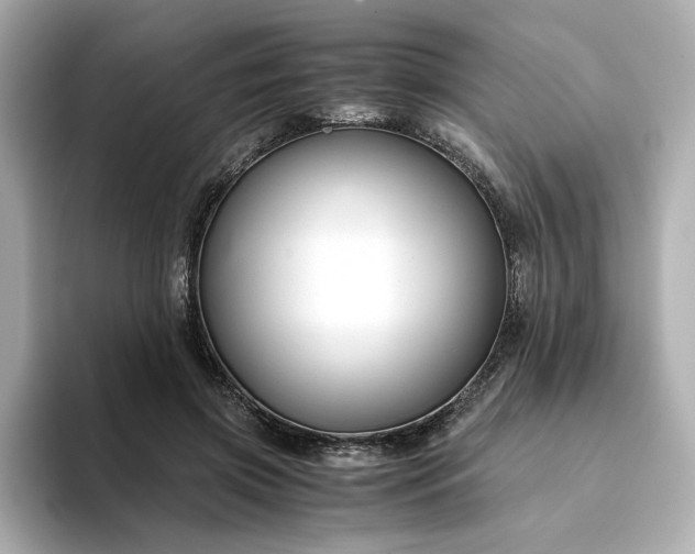 X0000093430549200710261021