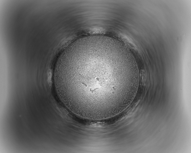 X0000093430550200710261021