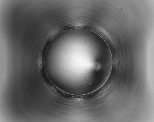 X0000093430552200710261022