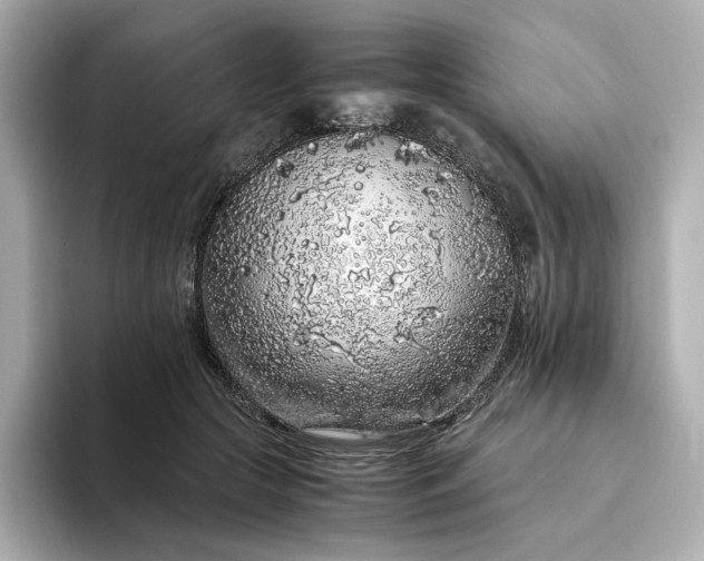 X0000093430553200710261022