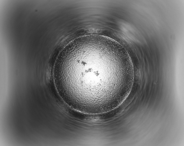 X0000093430554200710261022