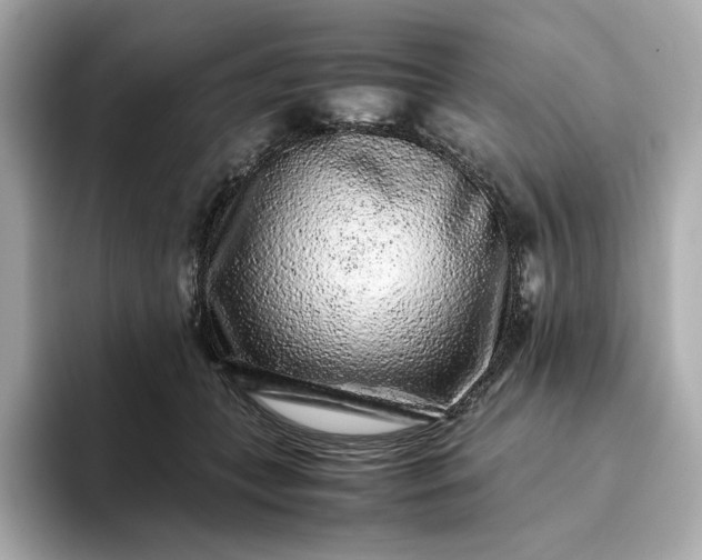 X0000093430559200710261022