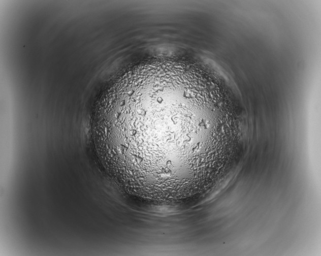 X0000093430561200710261022