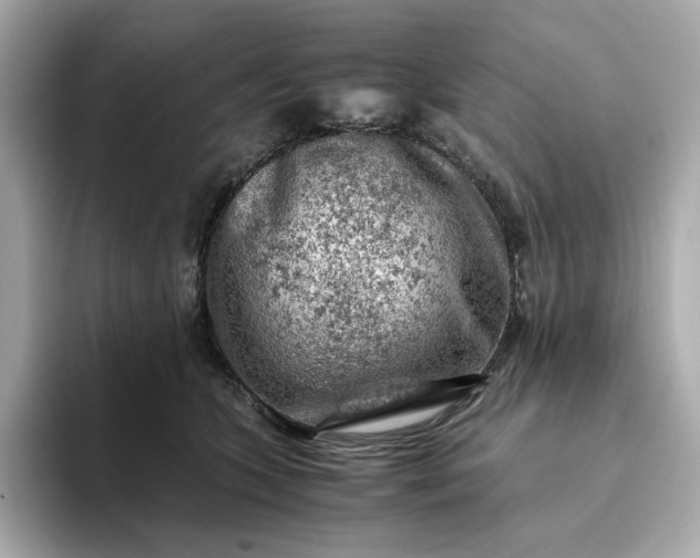 X0000093430563200710261022