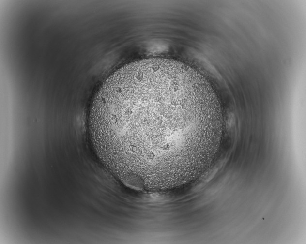 X0000093430565200710261022