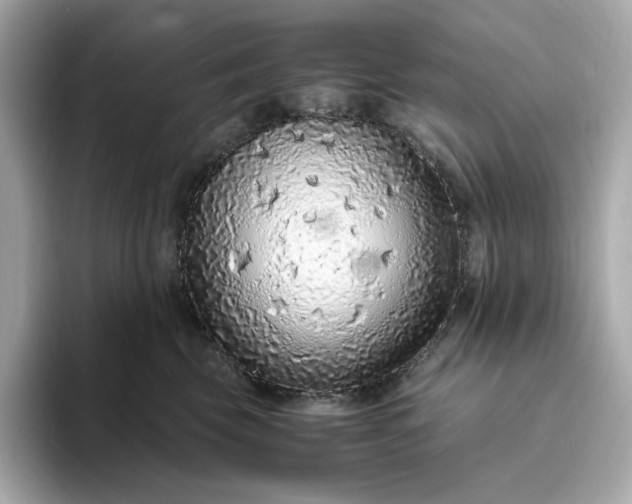 X0000093430569200710261022