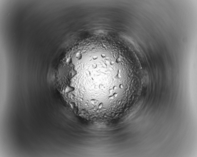 X0000093430573200710261022