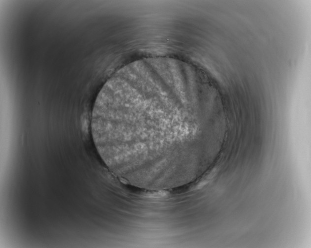 X0000093430576200710261022