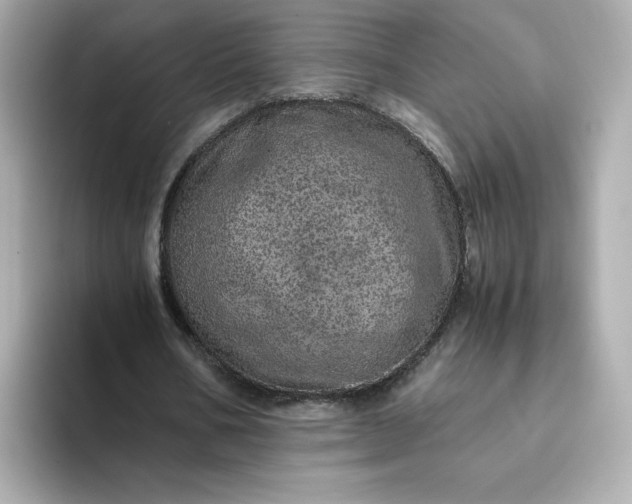 X0000093430578200710261021