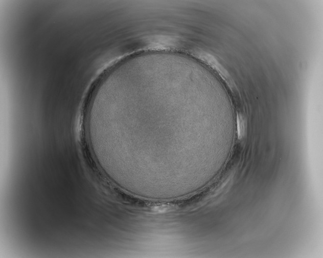 X0000093430579200710261021