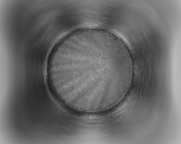 X0000093430582200710261021