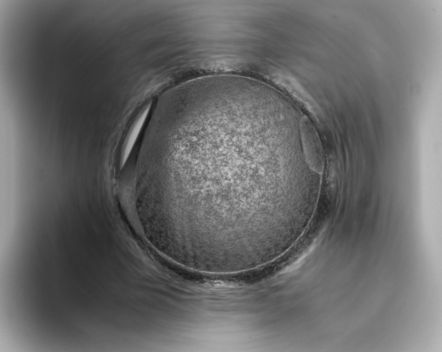 X0000093430585200710261021