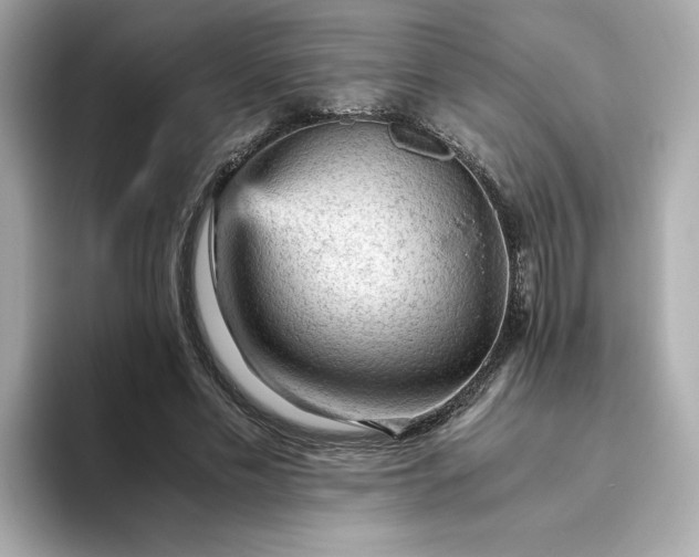 X0000093430589200710261021