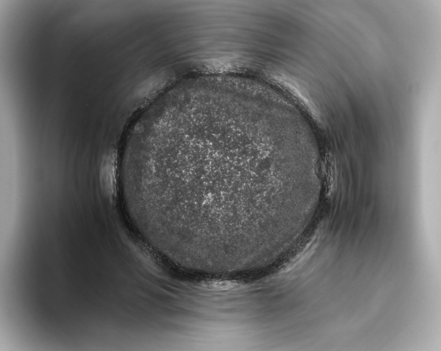 X0000093430590200710261021