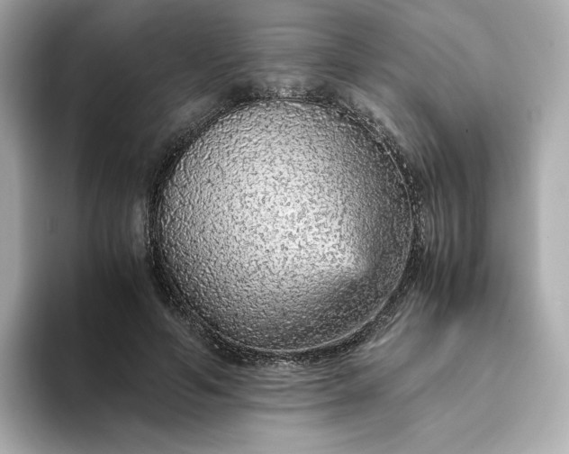 X0000093430594200710261021