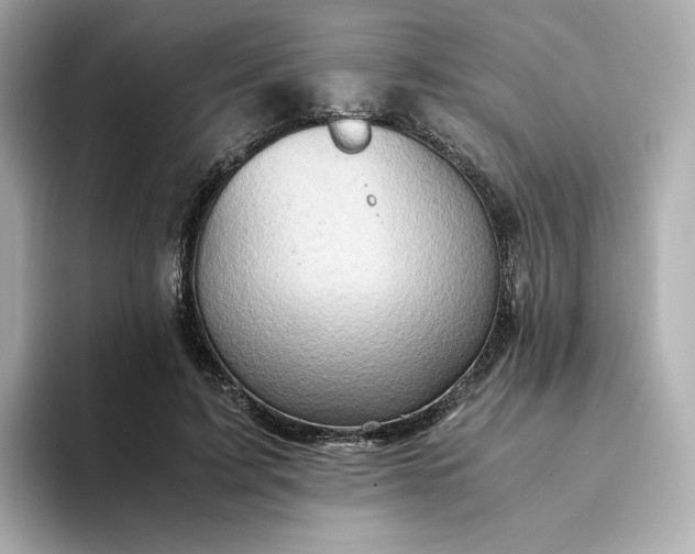 X0000093430595200710261021