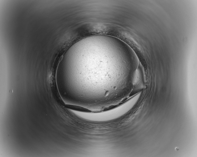 X0000093430597200710261021