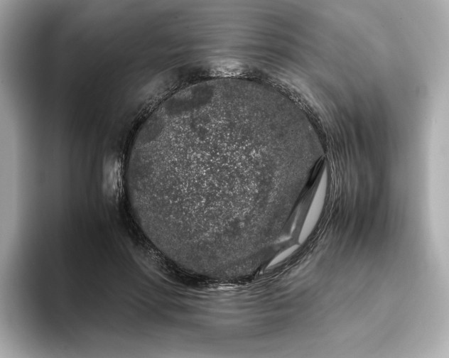 X0000093430598200710261021