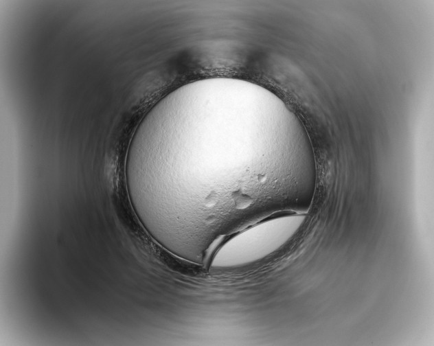 X0000093430599200710261021