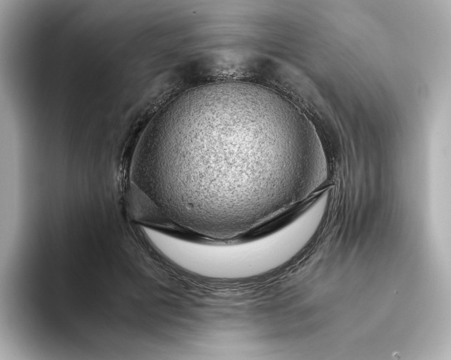 X0000093430601200710261021