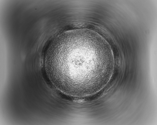 X0000093430602200710261021