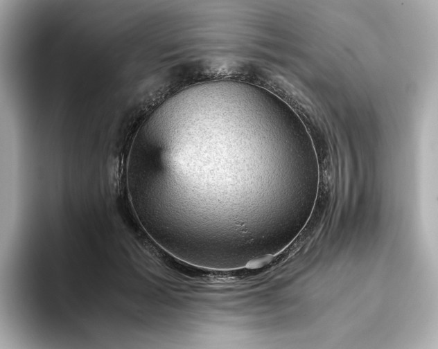 X0000093430605200710261021