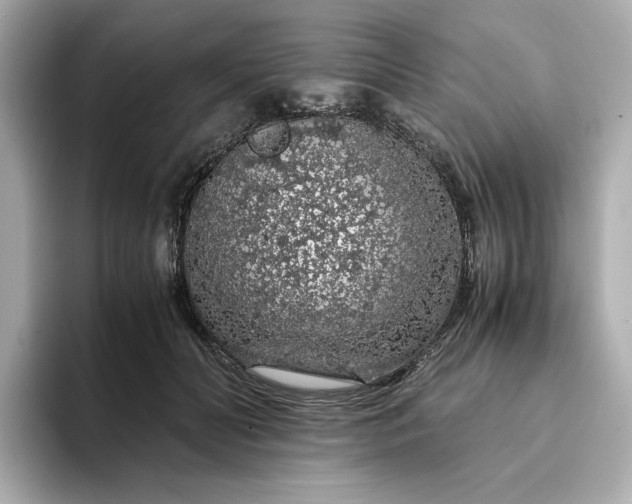 X0000093430606200710261021