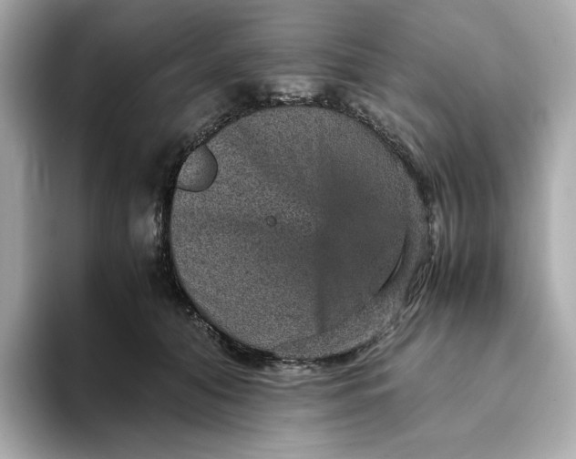 X0000093430608200710261021