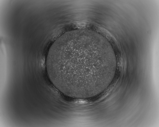 X0000093430610200710261021