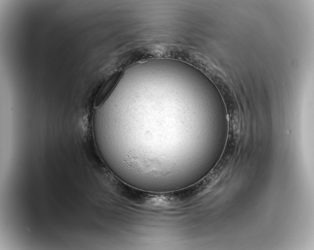 X0000093430611200710261021