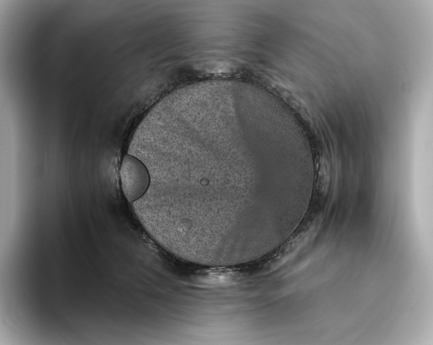 X0000093430612200710261021