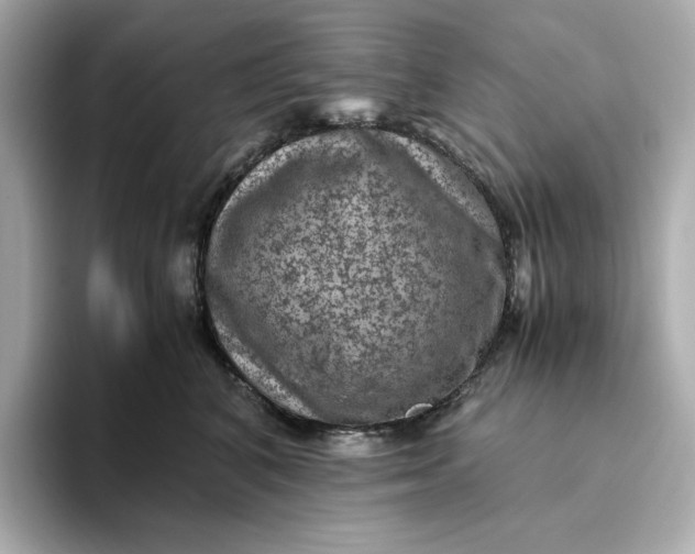 X0000093430616200710261021