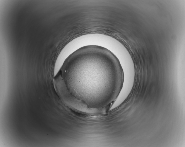 X0000093430617200710261021