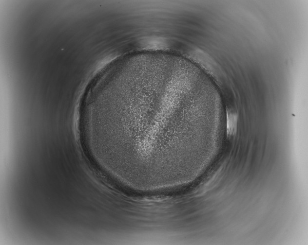 X0000093430627200710261020